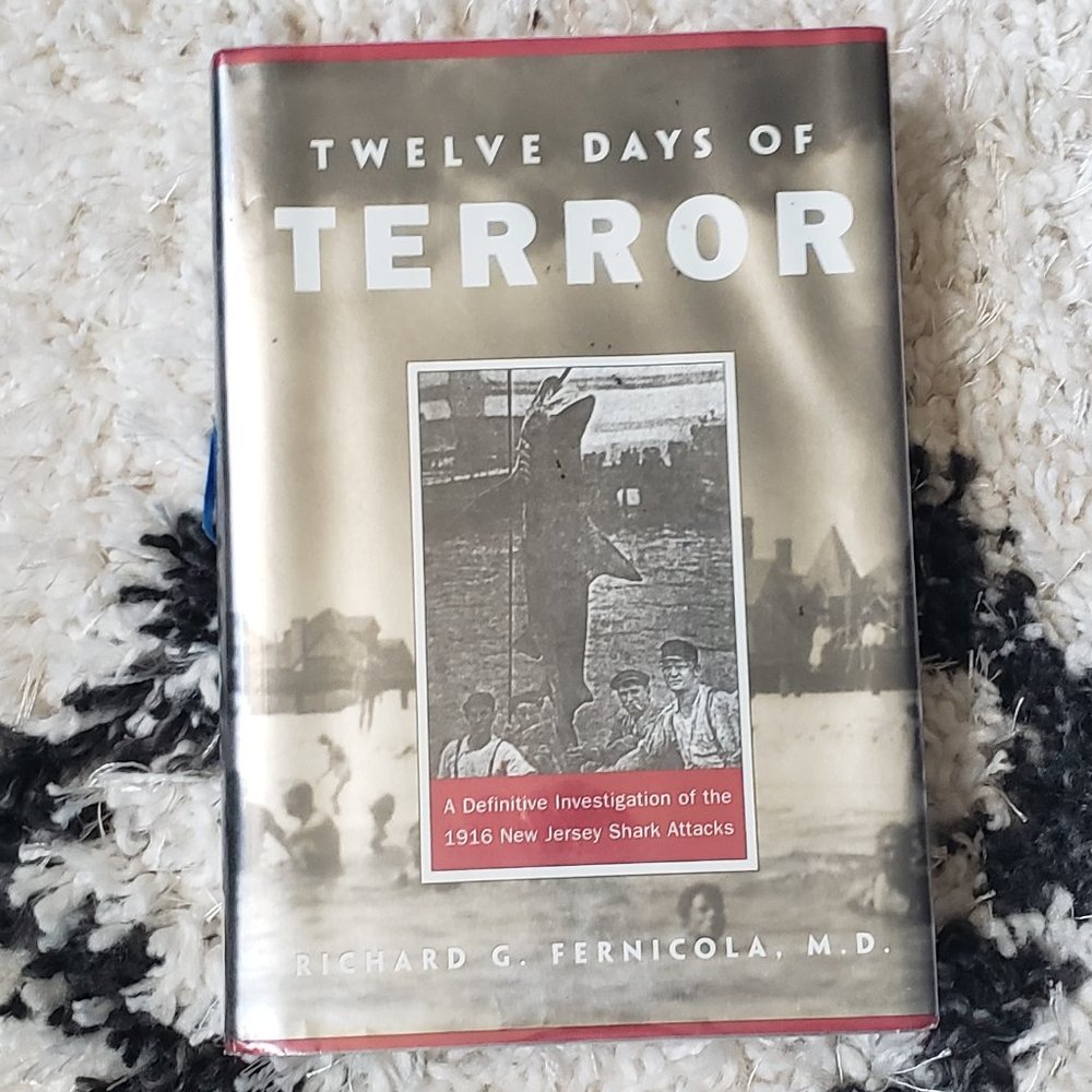 Twelve days of Terror